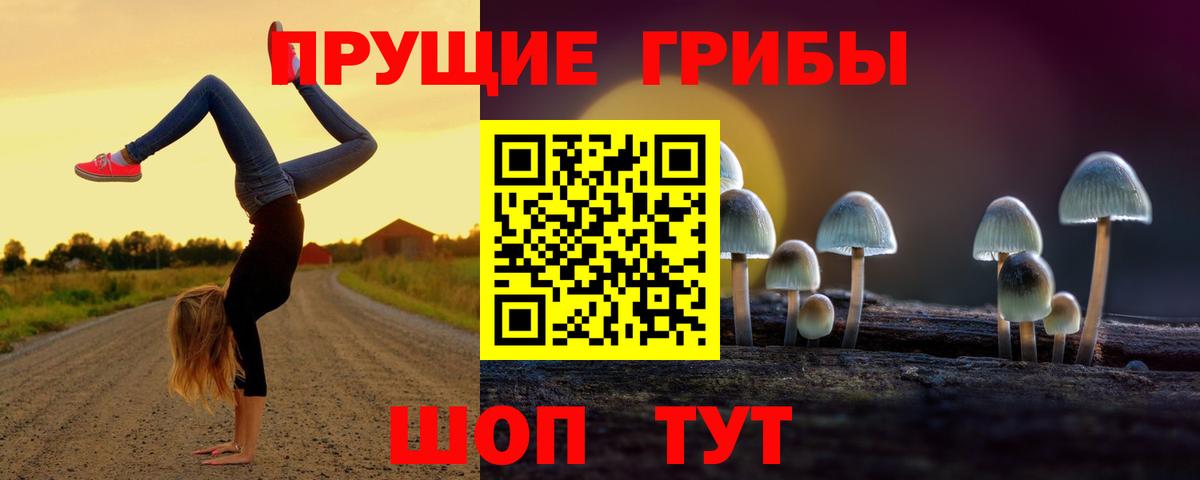 Псилоцибиновые грибы Psilocybine cubensis Норильск